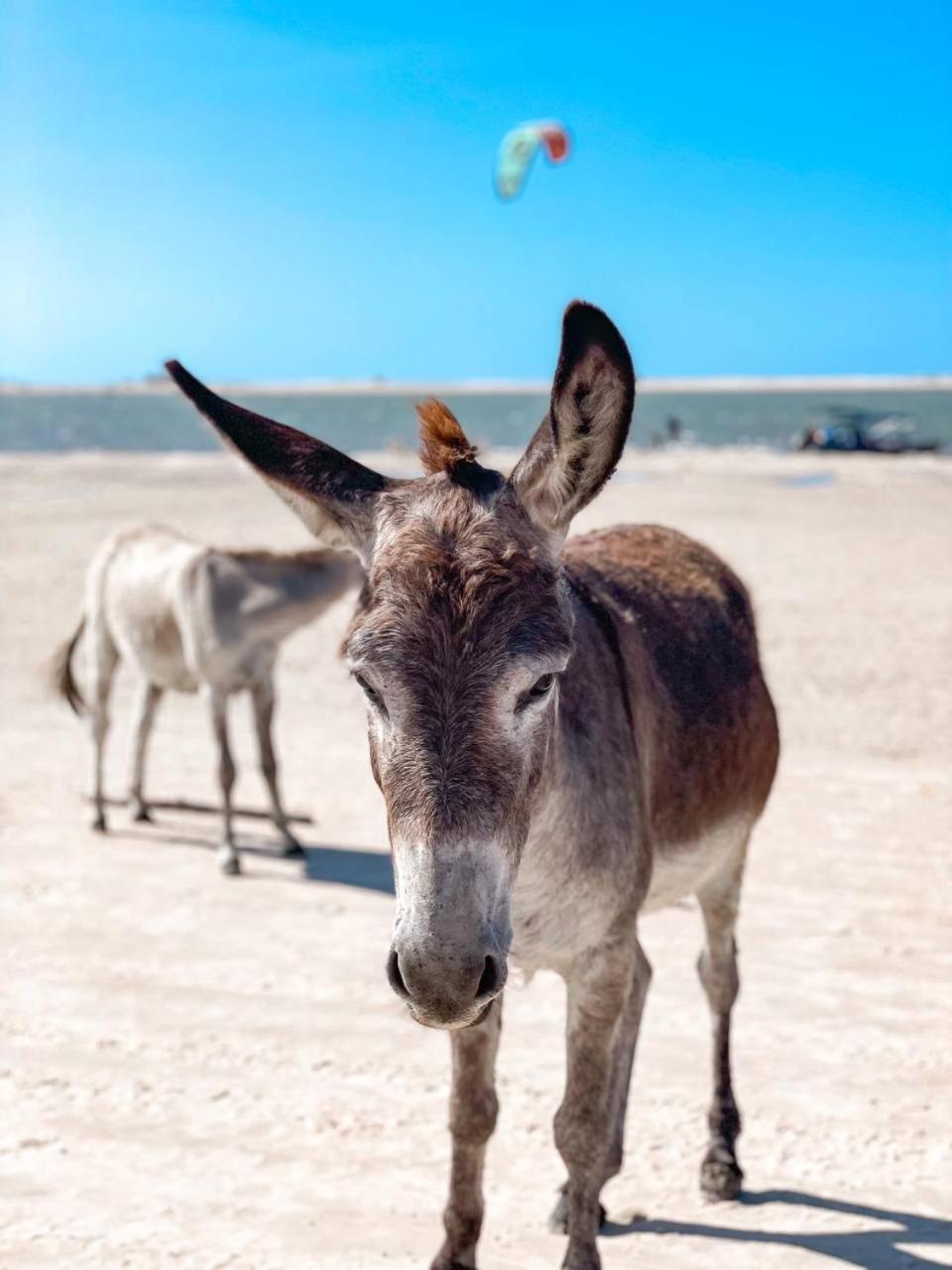 Atins Beach Chales エクステリア 写真