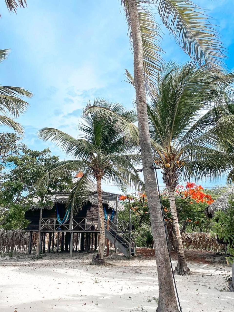 Atins Beach Chales エクステリア 写真